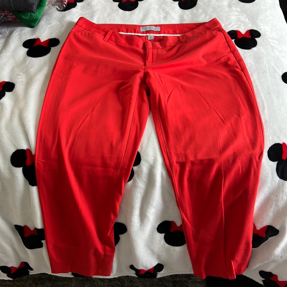 Womens pants